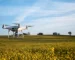 Fly a Drone Without a License